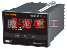 溫度表、數(shù)字顯示儀、濕度表